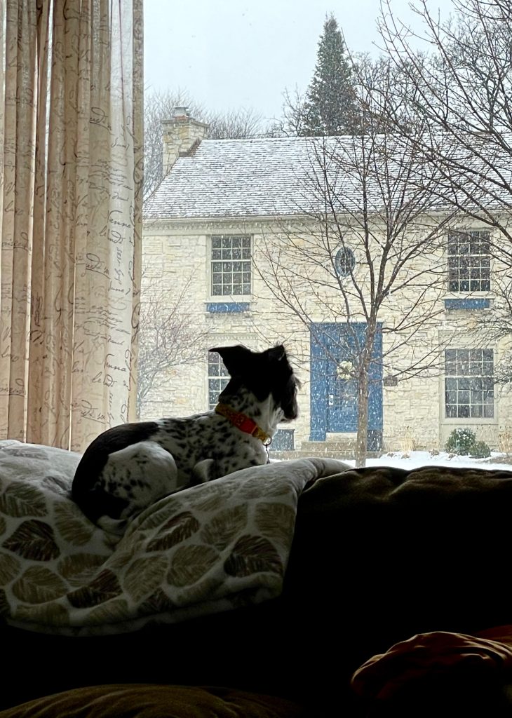 Neighborhood Watch