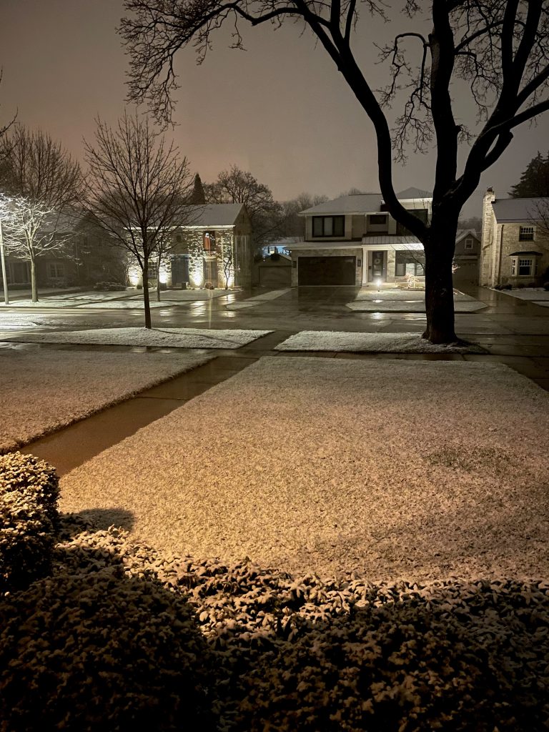 Quiet White Night