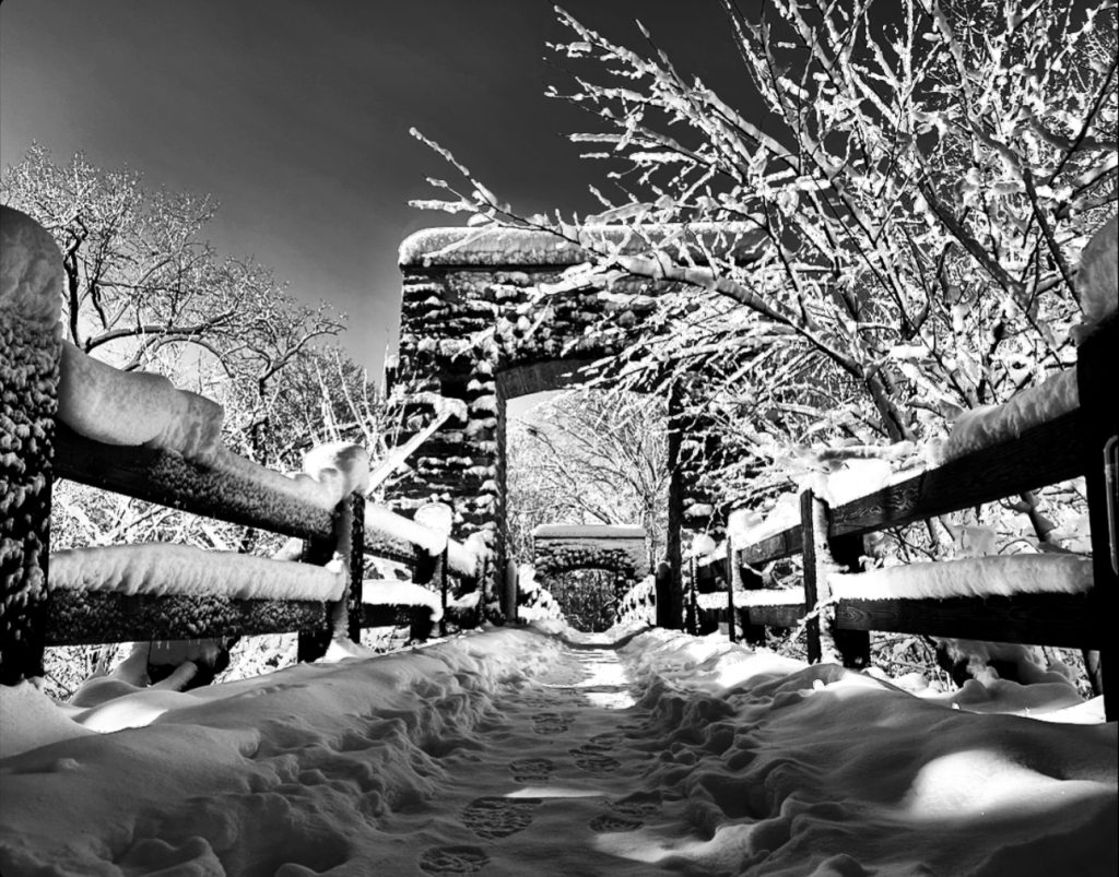 Winter moods