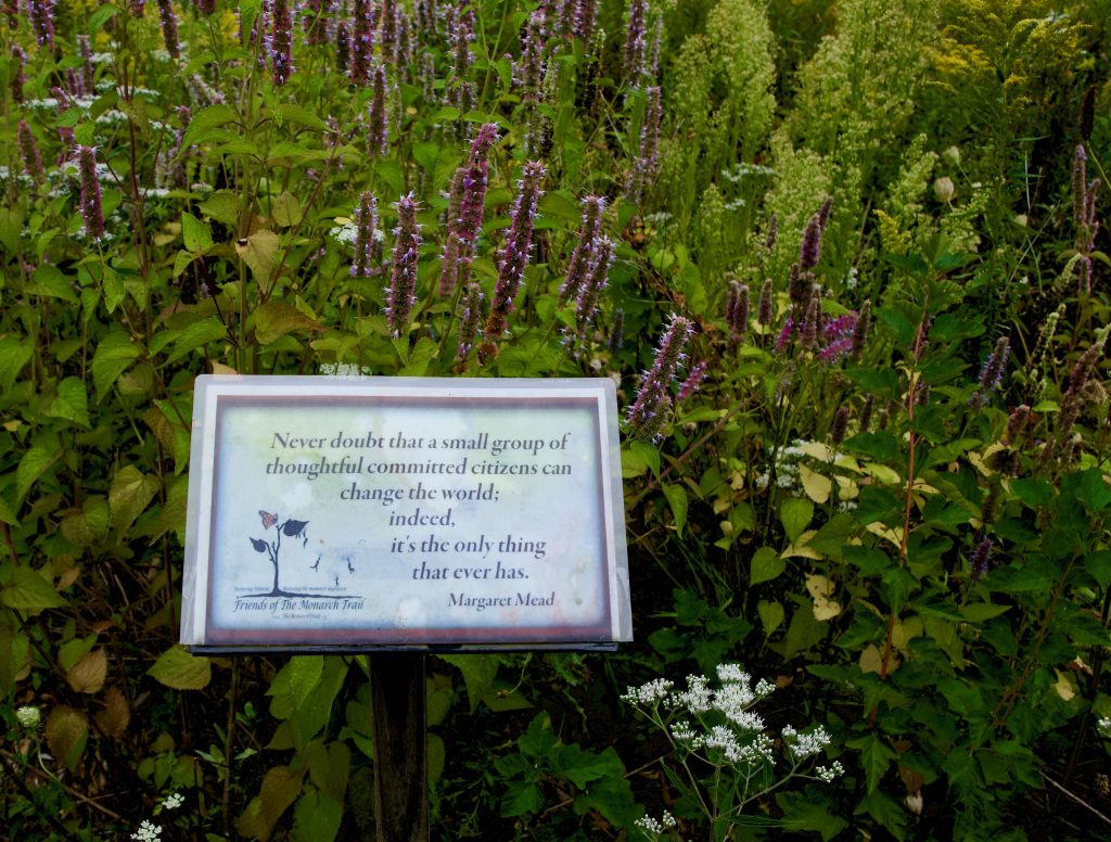 Monarch Trail Inspiration