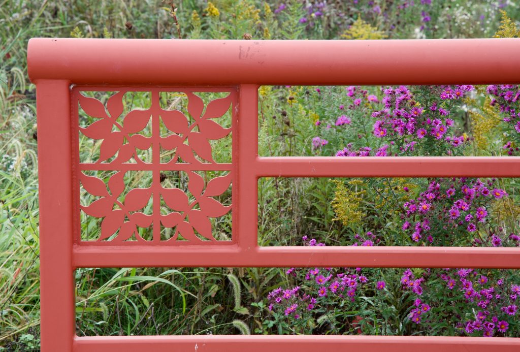 Flowers in the Park