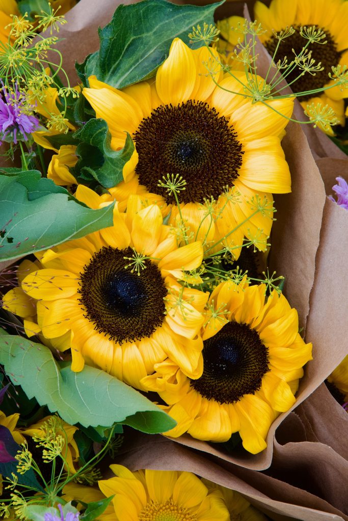 Farmers Market Sunflower Bouquet
