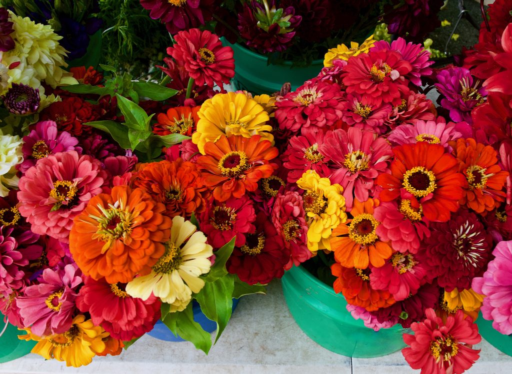 Bucket of Flowers