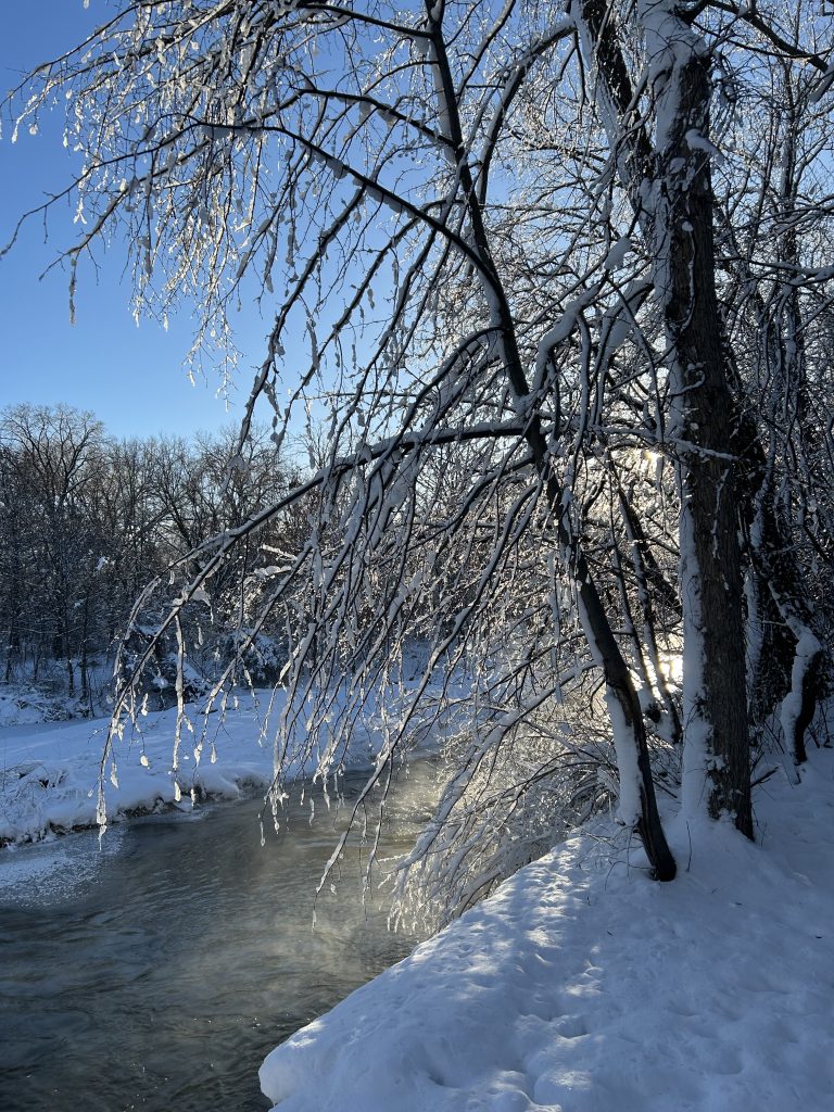 Morning after snowfall