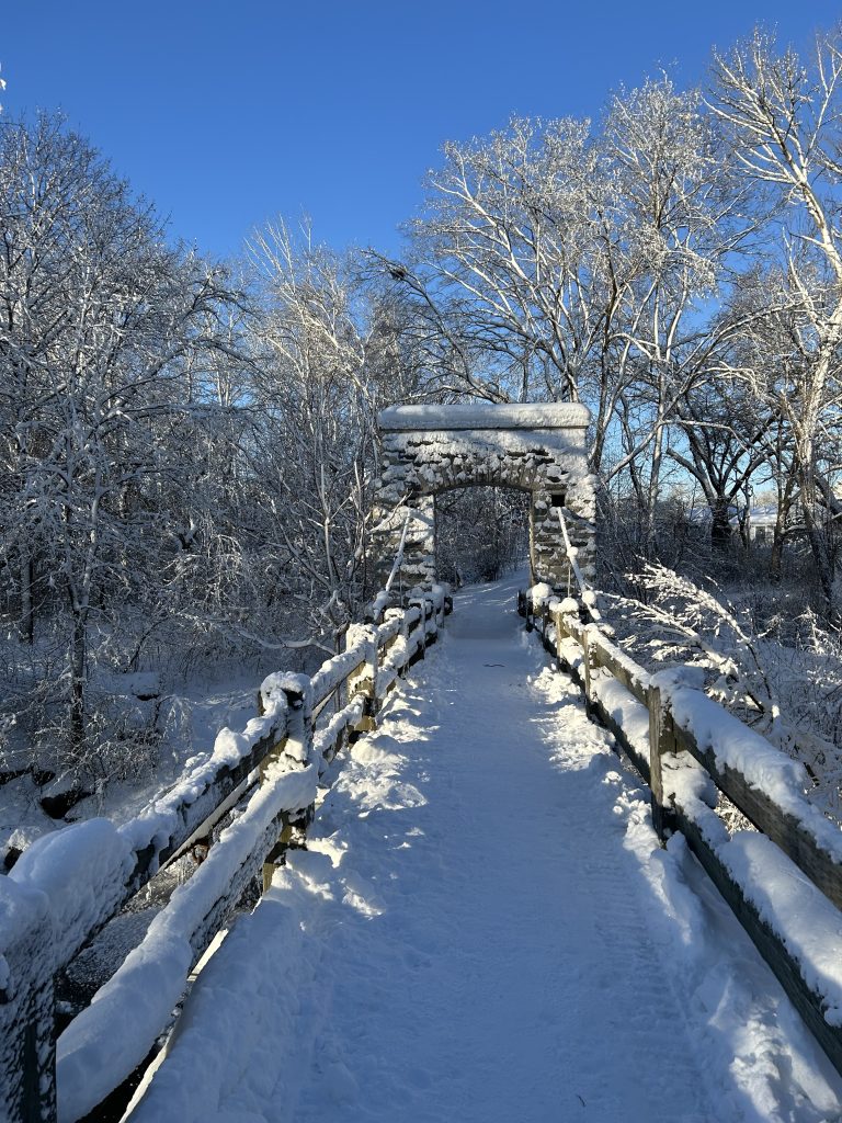Morning Snow