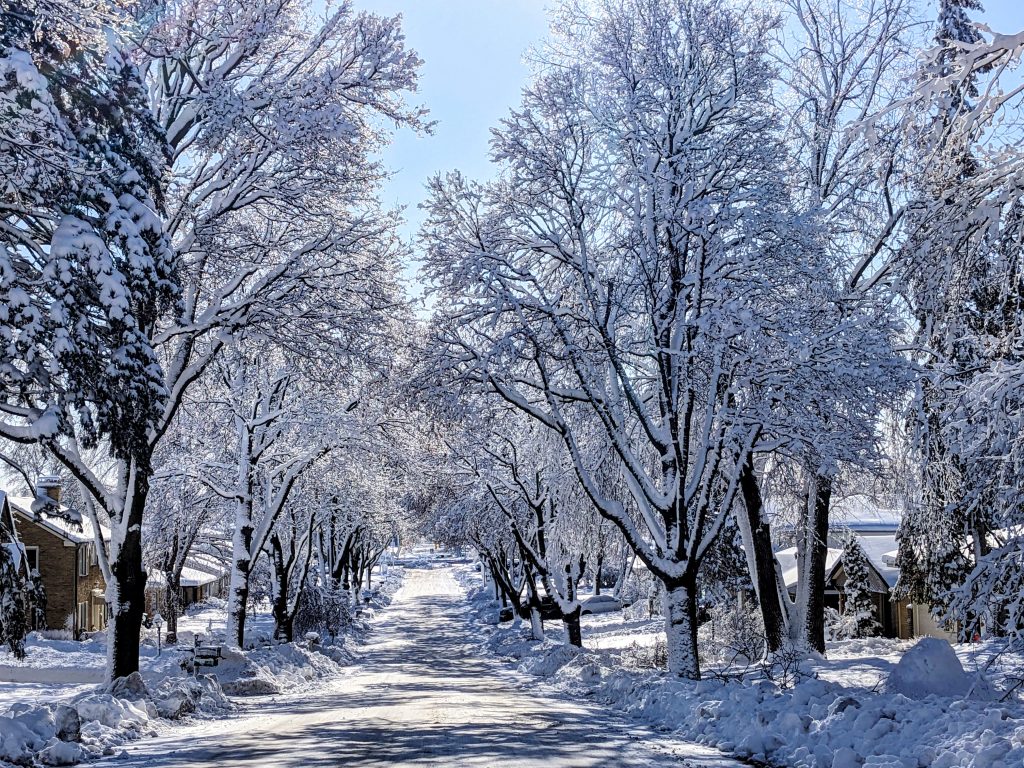 Plowed Streets