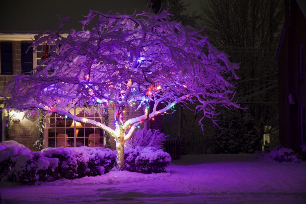 A Purple Haze Christmas Night