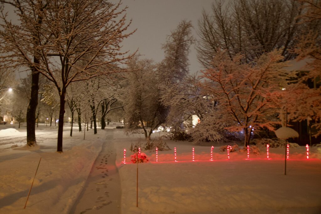 Not Candy Cane Lane