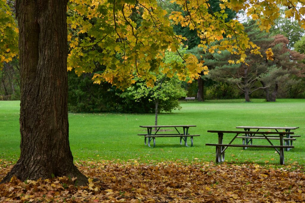 Empty Chairs and Empty Tables