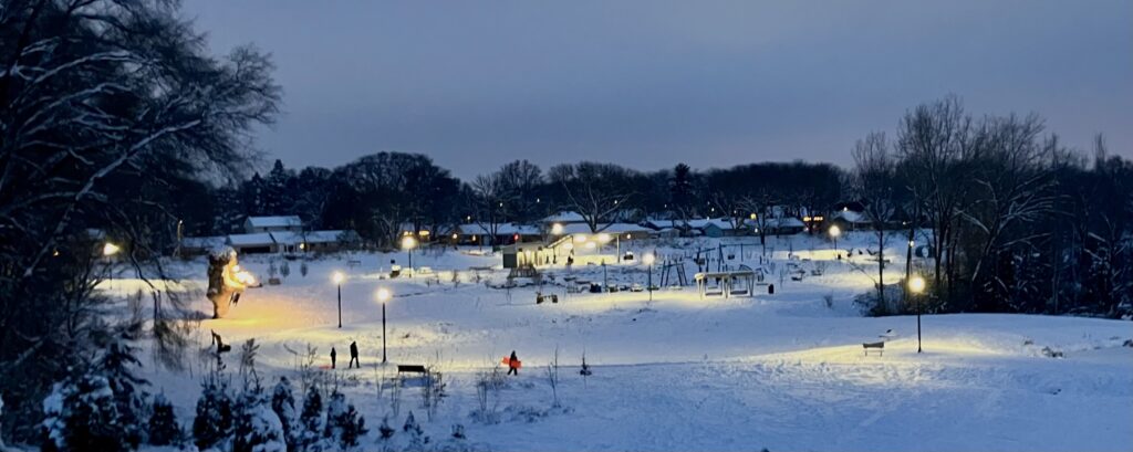 A Winter Evening at Firefly Grove park