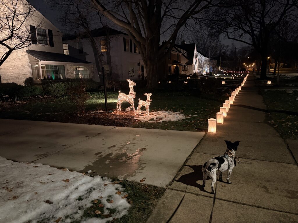 Neighborhood Holiday Decorations