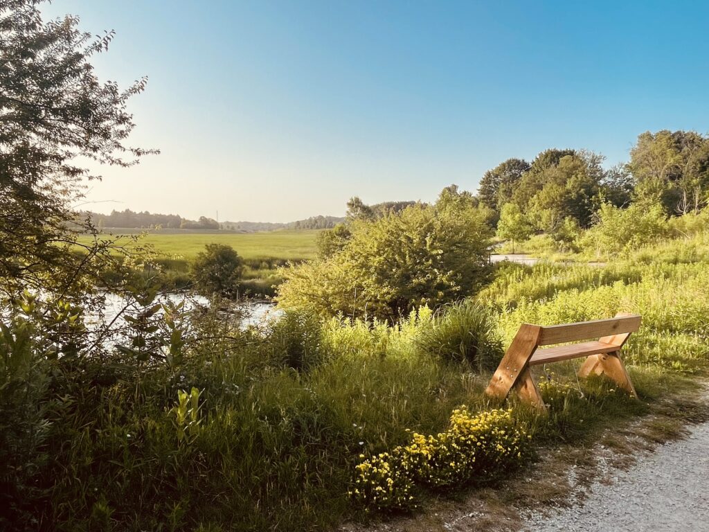 Early morning retention pond