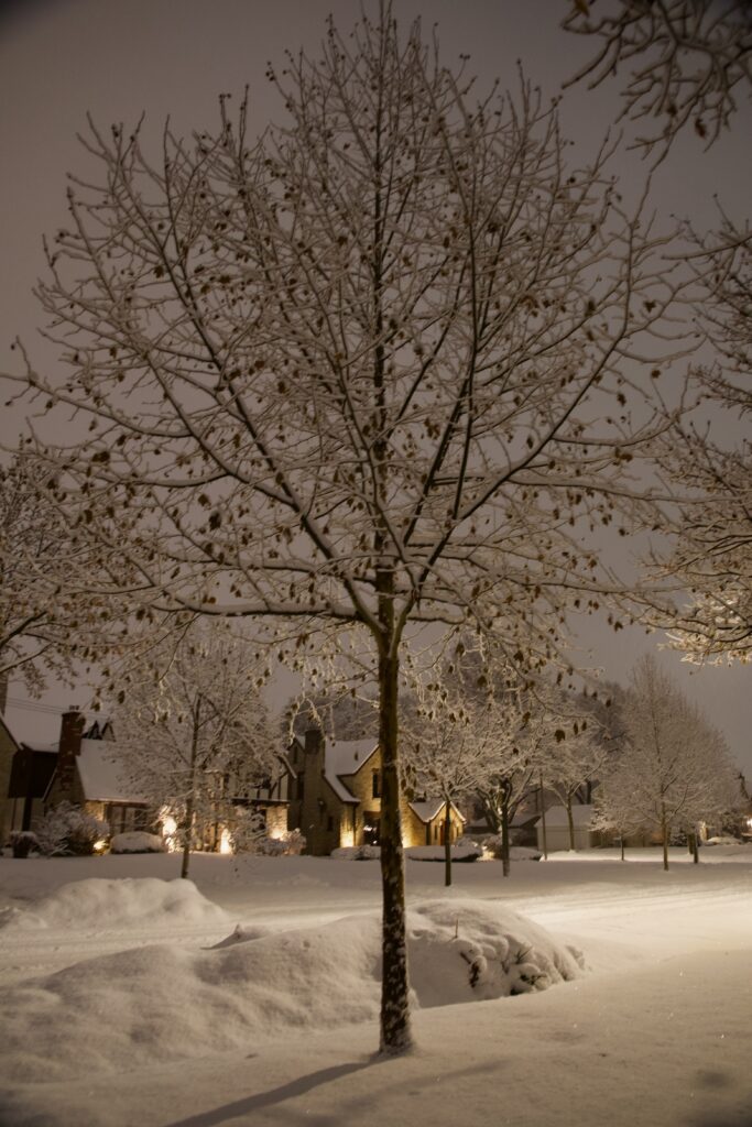 Snowy Night in the Neighborhood