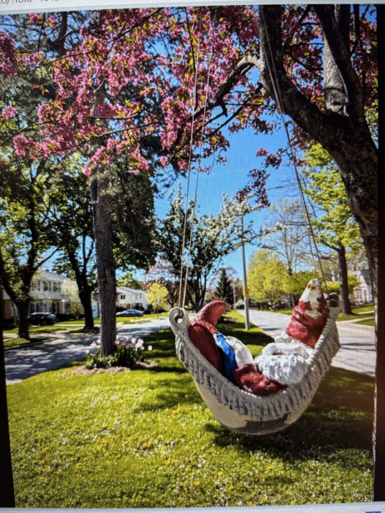 Relaxing in Tosa!!