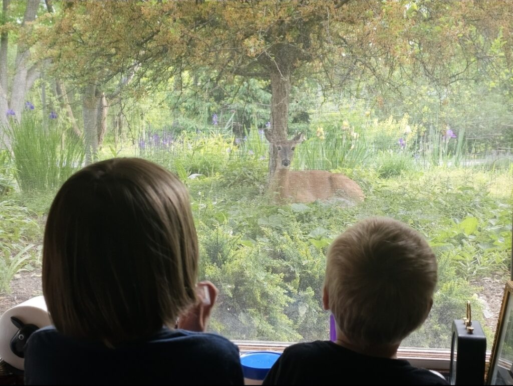 Our Neighbor